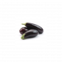 Eggplant