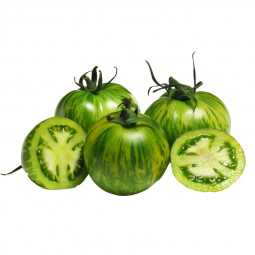 Tomato Green Zebra