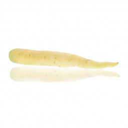 Baby white carrots