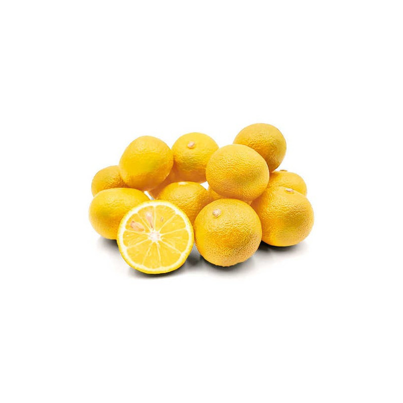 Citrus sudachi