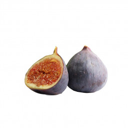 Black Fig Solliès