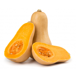 Butternut Squash