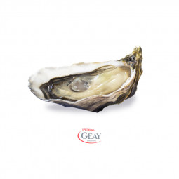 open L'ultime Fine Oyster - GEAY