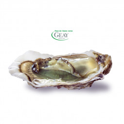 open Green Fine de Claire Oyster - GEAY