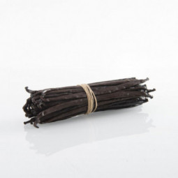 Vanilla Pods of 16 to 20 cm