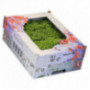 Dulce Mixte Cress