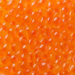 Wild Salmon Roe