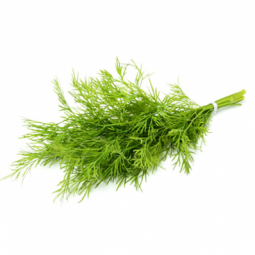 Dill