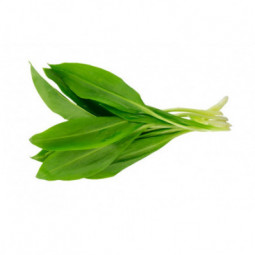 Garlic Leaves