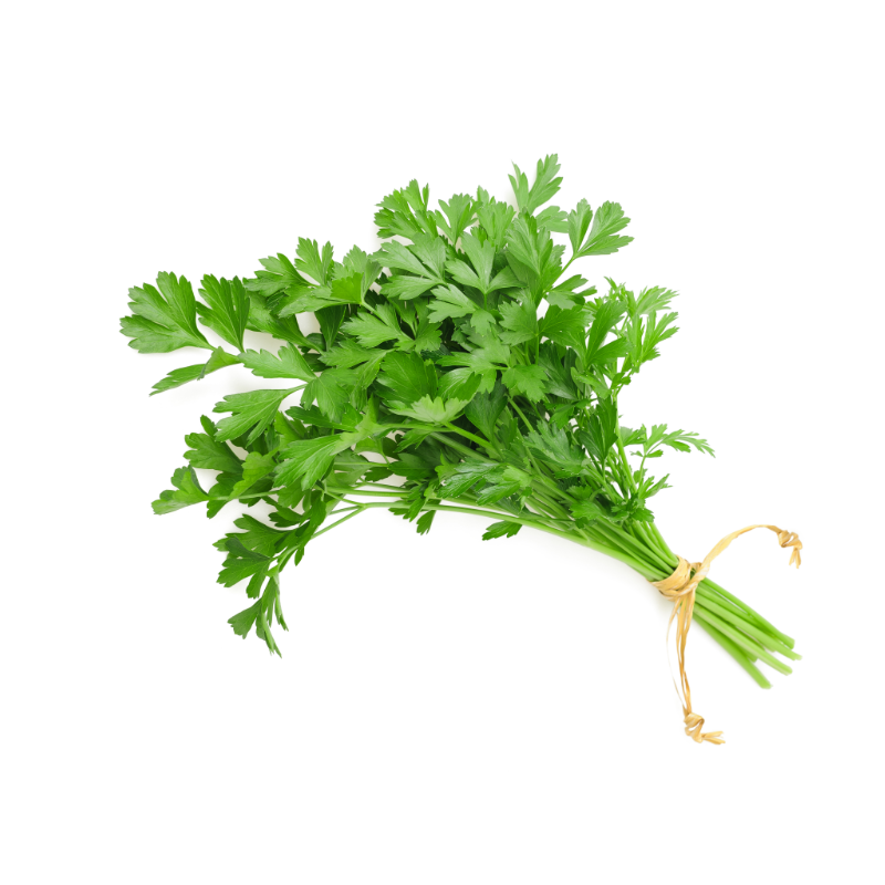 Parsley Plat