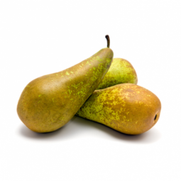 Pear Conference