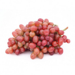 Seedless red grapes