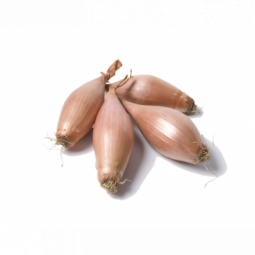 Banana Shallot