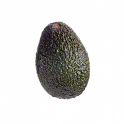 Avocado Hass