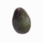 Avocado Hass