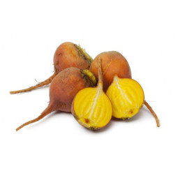 Yellow Beetroot Baby