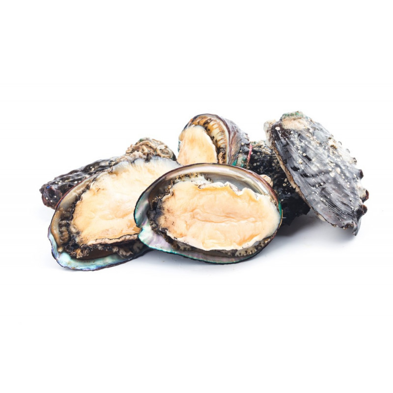 Farmed Abalone