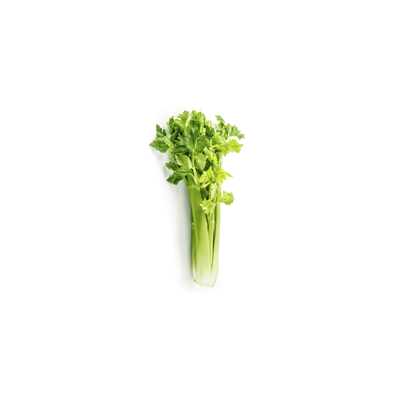 Celery