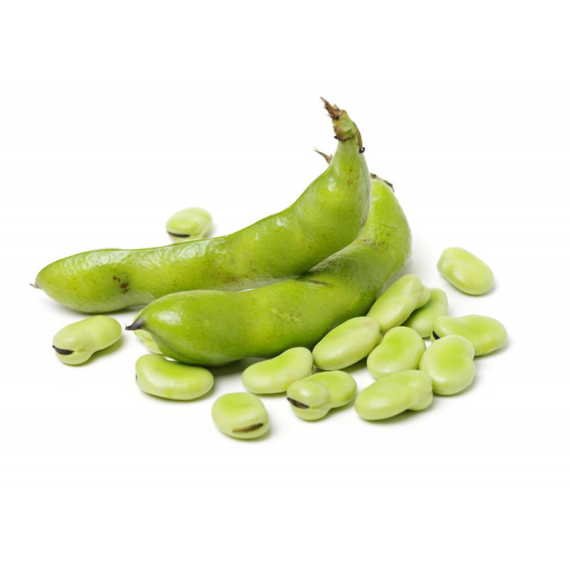 Broad Beans Fresh