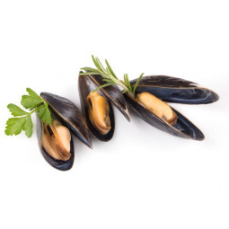 St Michel Bouchot Mussels