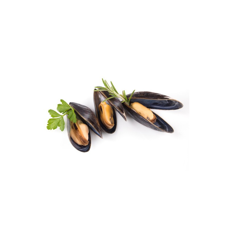 St Michel Bouchot Mussels