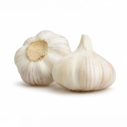 Garlic White