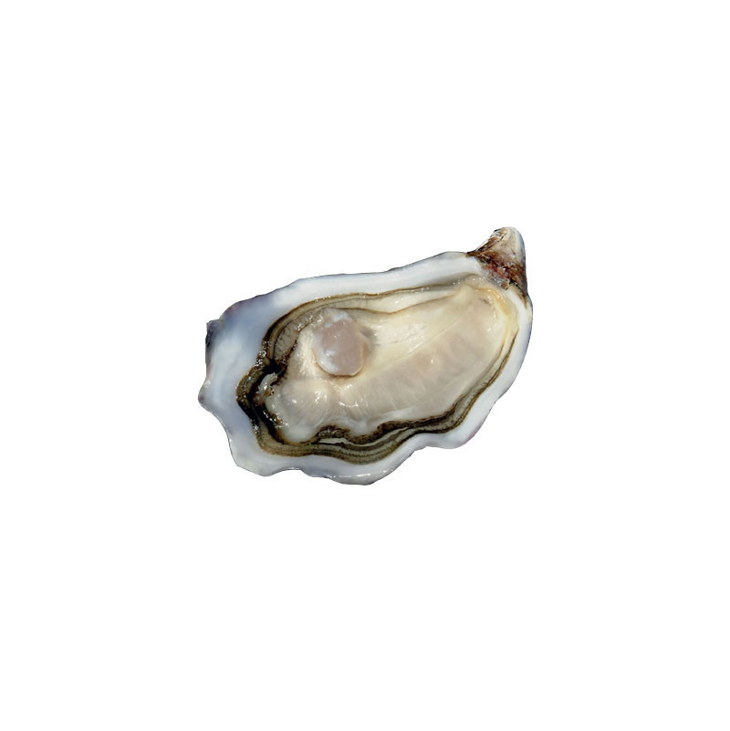 La Reserve Tarbouriech Oyster