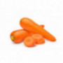 Carrot