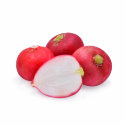 Radish Red Round