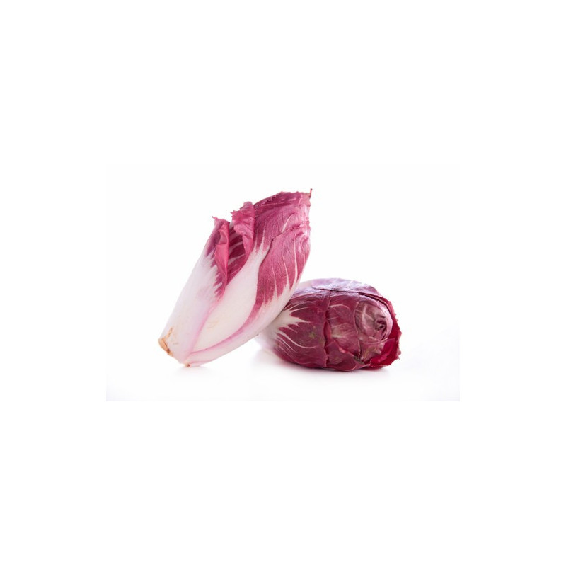 Red Chicory