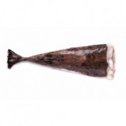 Monkfish Tail