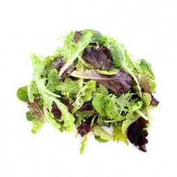 Salad Mesclun Nicois