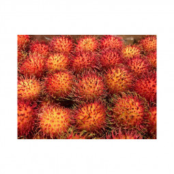 Rambutan