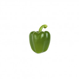 Bell Pepper