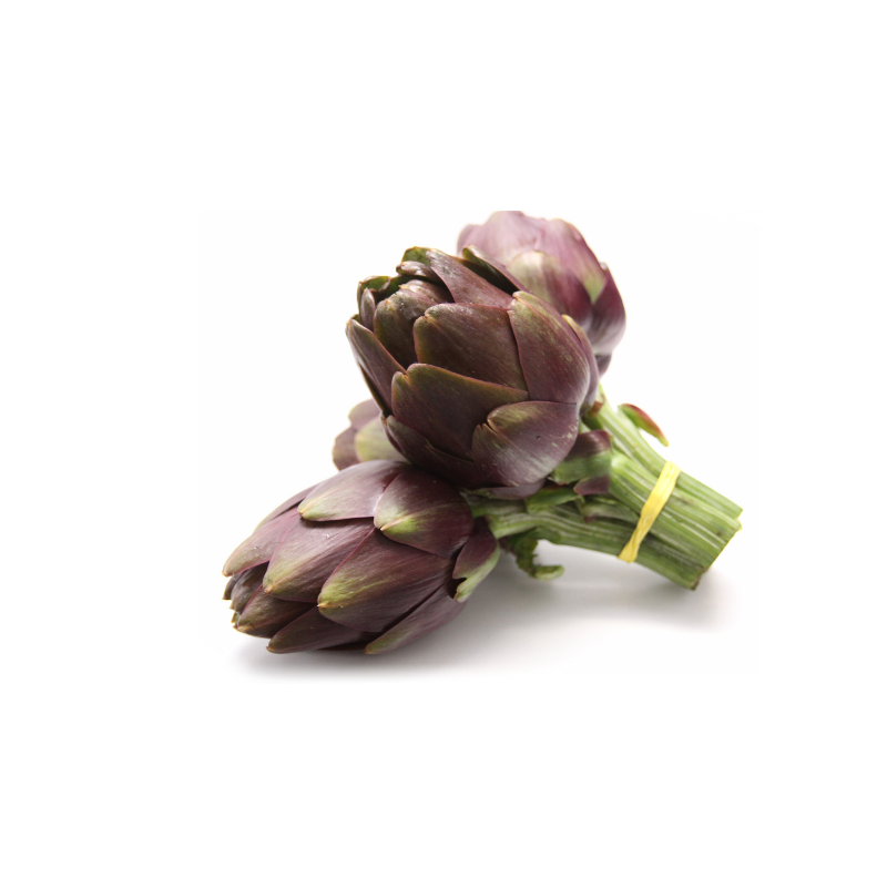 Artichoke Baby Purple